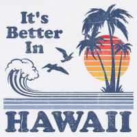 It's Better In Hawaii Beach Vacation Retro Vintage 80's 70's T-Shirt