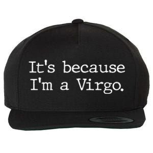 Its Because Im A Virgo Zodiac Astrology Funny Gift Wool Snapback Cap