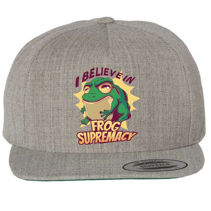 I Believe In Frog Supremacy Funny Wool Snapback Cap