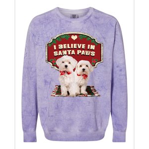 I Believe In Santa Paws Cute Christmas Dog Lover Colorblast Crewneck Sweatshirt