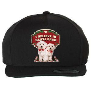 I Believe In Santa Paws Cute Christmas Dog Lover Wool Snapback Cap