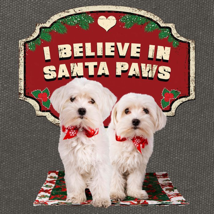 I Believe In Santa Paws Cute Christmas Dog Lover Cotton Canvas Backpack