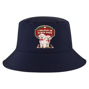 I Believe In Santa Paws Cute Christmas Dog Lover Cool Comfort Performance Bucket Hat