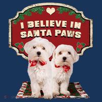 I Believe In Santa Paws Cute Christmas Dog Lover Cool Comfort Performance Bucket Hat