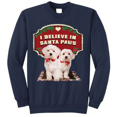 I Believe In Santa Paws Cute Christmas Dog Lover Sweatshirt