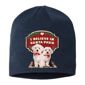 I Believe In Santa Paws Cute Christmas Dog Lover Sustainable Beanie