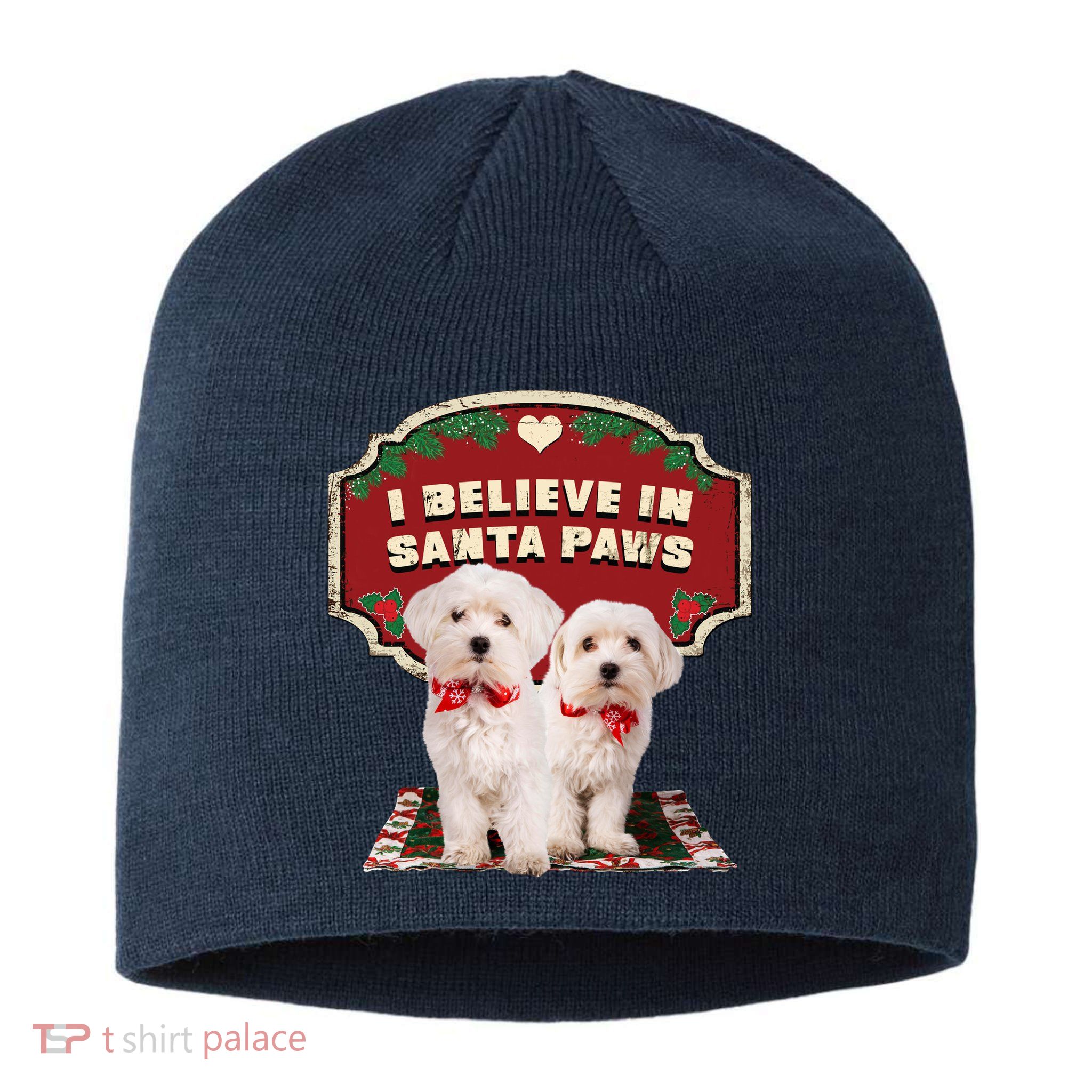 I Believe In Santa Paws Cute Christmas Dog Lover Sustainable Beanie