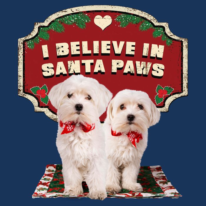 I Believe In Santa Paws Cute Christmas Dog Lover Bag