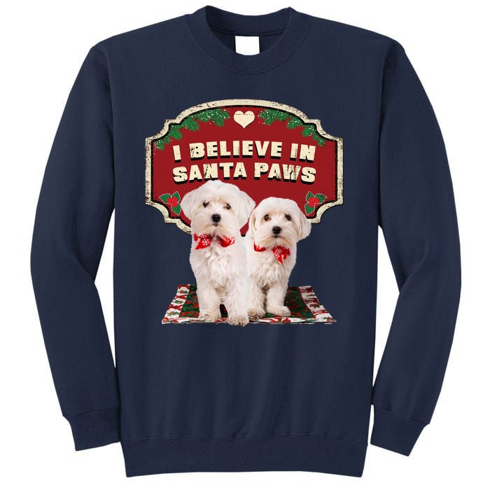 I Believe In Santa Paws Cute Christmas Dog Lover Tall Sweatshirt