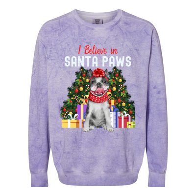 I Believe In Santa Paws Cute French Bulldog Christmas Cool Gift Colorblast Crewneck Sweatshirt