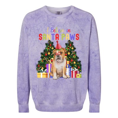 I Believe In Santa Paws Bulldog Lover Cute Xmas Bulldog Gift Colorblast Crewneck Sweatshirt