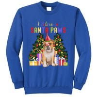 I Believe In Santa Paws Bulldog Lover Cute Xmas Bulldog Gift Tall Sweatshirt