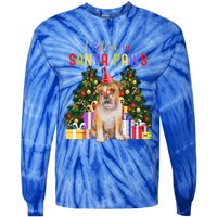 I Believe In Santa Paws Bulldog Lover Cute Xmas Bulldog Gift Tie-Dye Long Sleeve Shirt