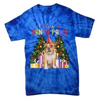 I Believe In Santa Paws Bulldog Lover Cute Xmas Bulldog Gift Tie-Dye T-Shirt