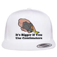 It's Bigger If You Use Centimeters Flat Bill Trucker Hat