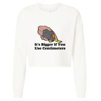 It's Bigger If You Use Centimeters Cropped Pullover Crew