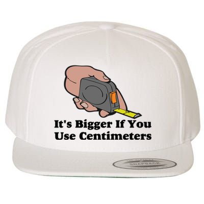 It's Bigger If You Use Centimeters Wool Snapback Cap