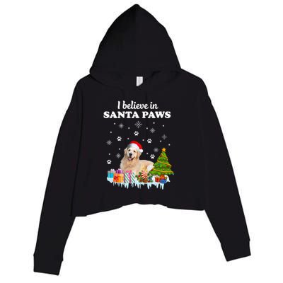 I Believe In Santa Paw Funny Golden Retriever Cute Christmas Gift Crop Fleece Hoodie