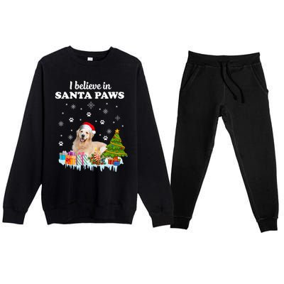 I Believe In Santa Paw Funny Golden Retriever Cute Christmas Gift Premium Crewneck Sweatsuit Set