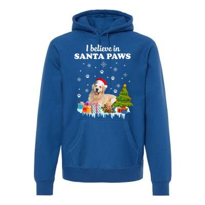 I Believe In Santa Paw Funny Golden Retriever Cute Christmas Gift Premium Hoodie