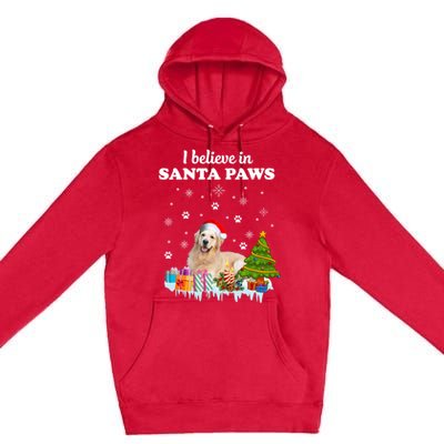 I Believe In Santa Paw Funny Golden Retriever Cute Christmas Gift Premium Pullover Hoodie