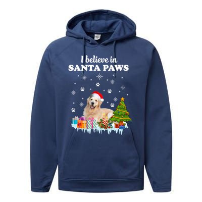 I Believe In Santa Paw Funny Golden Retriever Cute Christmas Gift Performance Fleece Hoodie