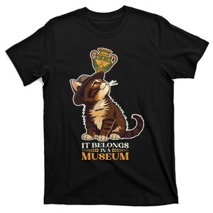 It Belongs In A Museum Archeology Archeologist Cat Kitty T-Shirt