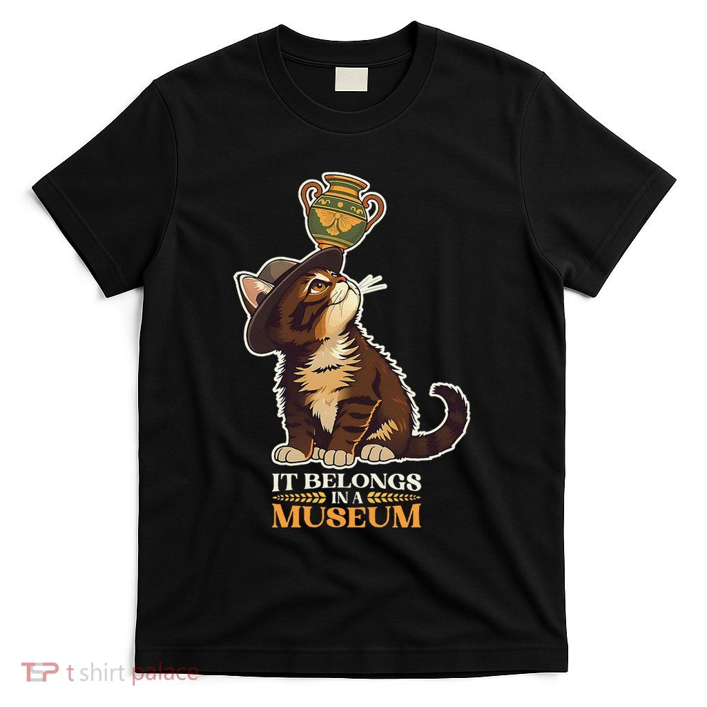 It Belongs In A Museum Archeology Archeologist Cat Kitty T-Shirt