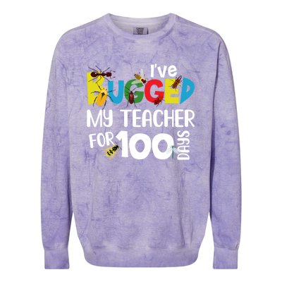 I've Bugged My Teacher For 100 Days Of School Funny Gift Colorblast Crewneck Sweatshirt