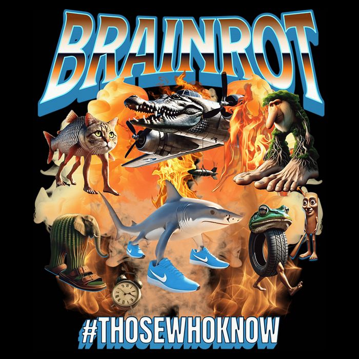 Italian Brainrot Meme Bootleg Wool Snapback Cap