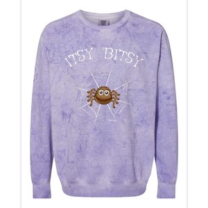 Itsy Bitsy Nursery Costumes Rhyme For Spider Colorblast Crewneck Sweatshirt