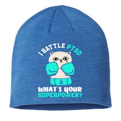 I Battle Ptsd Cat Ptsd Awareness Great Gift Sustainable Beanie