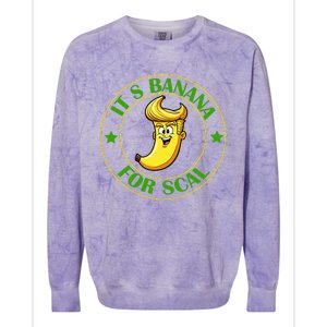 ItS Bananas Starship Trump Banana For Scales Colorblast Crewneck Sweatshirt