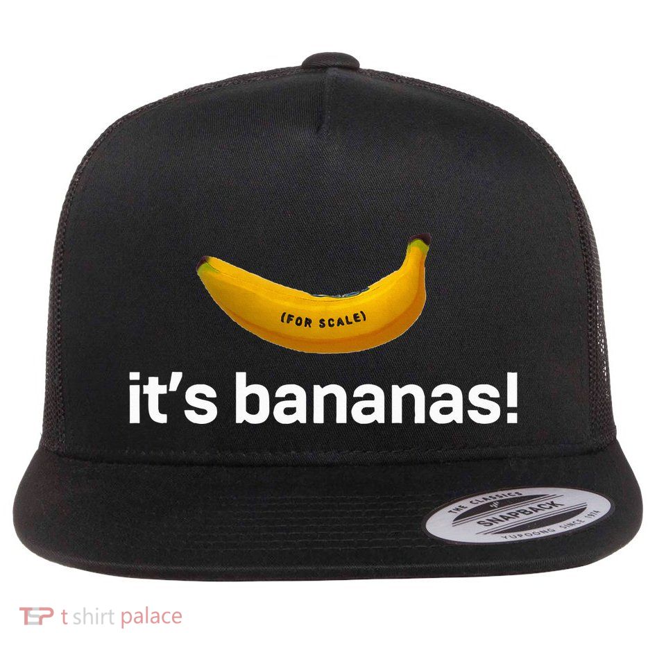 ItS Bananas Starship Flat Bill Trucker Hat