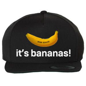 ItS Bananas Starship Wool Snapback Cap