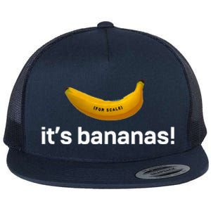 ItS Bananas Starship Flat Bill Trucker Hat