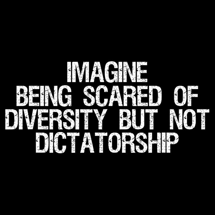 Imagine Being Scared Of Diversity But Not Dictatorship Flat Bill Trucker Hat