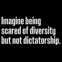 Imagine Being Scared Of Diversity But Not Dictatorship Flat Bill Trucker Hat