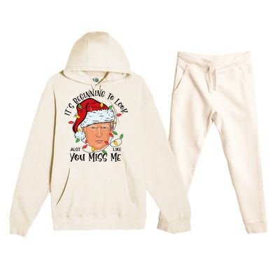 Its Beginning To Look A Lot Like You Miss Me Trump Christmas Premium Hooded Sweatsuit Set