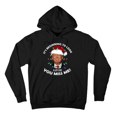 It's Beginning To Look A Lot Like You Miss Me Trump Christmas Hoodie