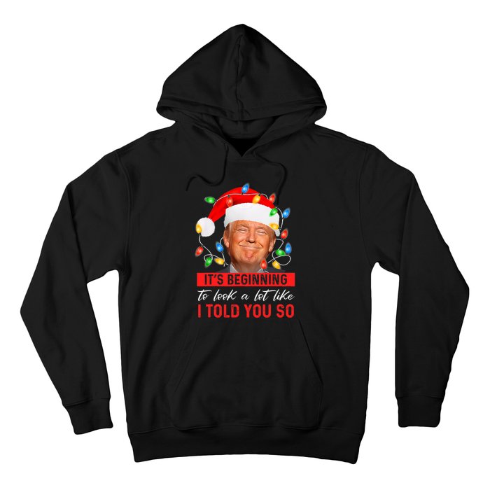 It's Beginning To Look A Lot Like I Told You So Trump Xmas Christmas Hoodie