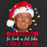It's Beginning To Look A Lot Like I Told You So Funny Donald Trump Christmas Adult Drive Performance Visor
