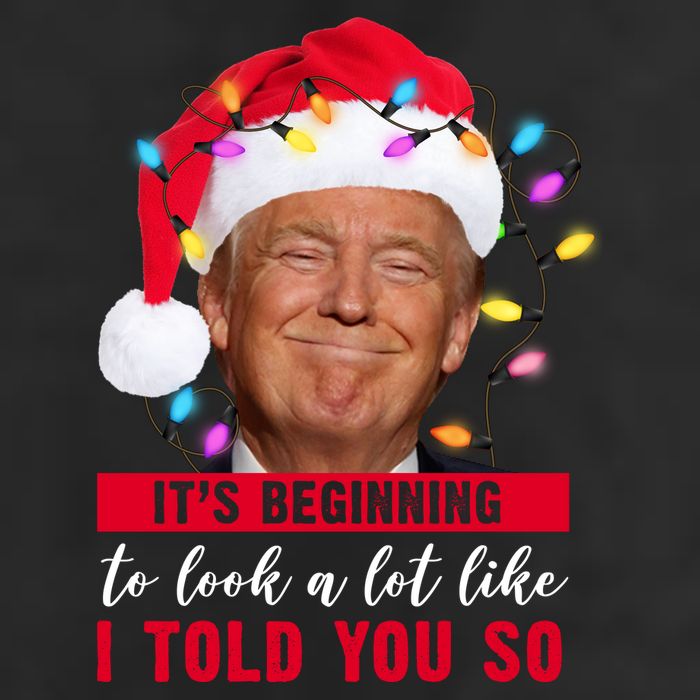 It's Beginning To Look A Lot Like I Told You So Funny Donald Trump Christmas Adult Drive Performance Visor