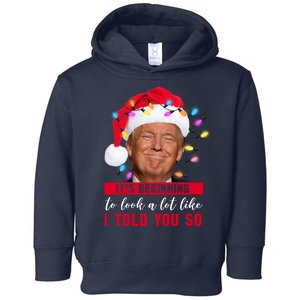 It's Beginning To Look A Lot Like I Told You So Funny Donald Trump Christmas Toddler Hoodie