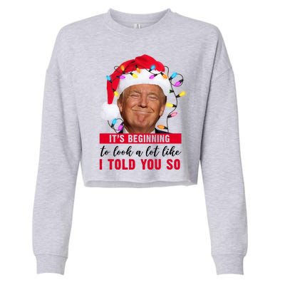 It's Beginning To Look A Lot Like I Told You So Funny Donald Trump Christmas Cropped Pullover Crew