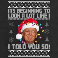 Its Beginning To Look A Like I Told You So Ugly Christmas Hat
