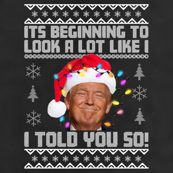 Its Beginning To Look A Like I Told You So Ugly Christmas Hat