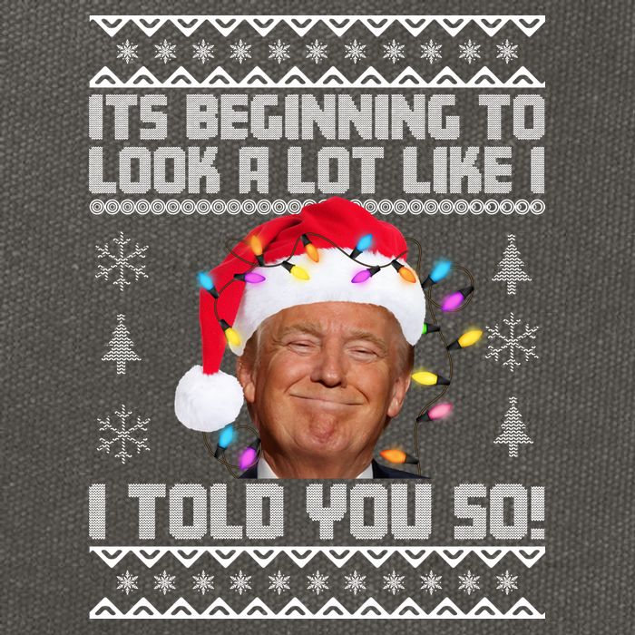 Its Beginning To Look A Like I Told You So Ugly Christmas Cotton Canvas Backpack