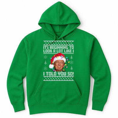 Its Beginning To Look A Like I Told You So Ugly Christmas Hoodie