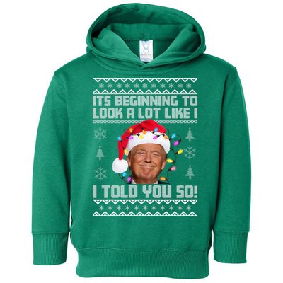 Its Beginning To Look A Like I Told You So Ugly Christmas Toddler Hoodie